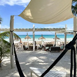 coco-limited.allrivieramayahotels.com/