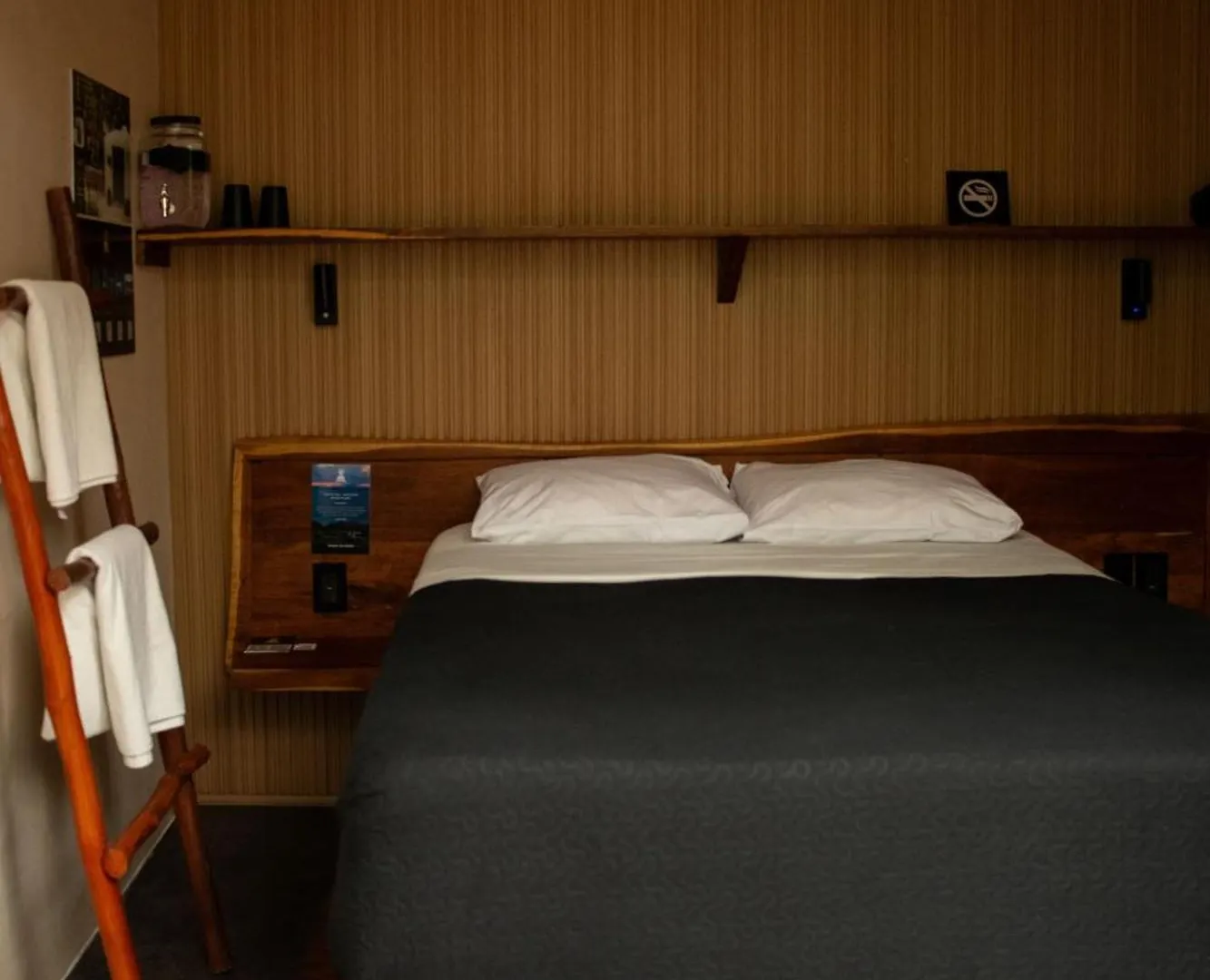 Otel Bufo Alvarius Tulum
