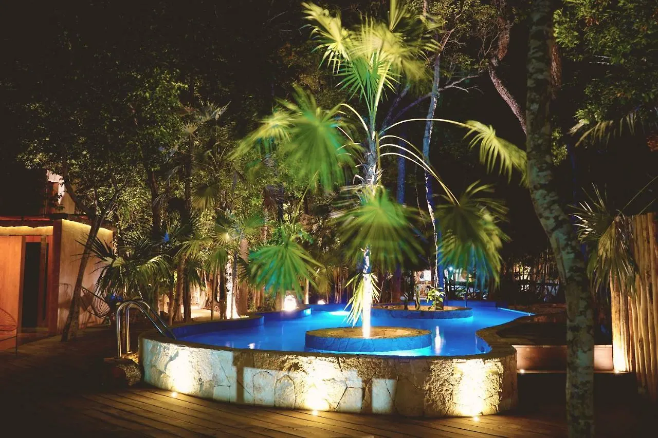 ** Otel Bufo Alvarius Tulum Meksika